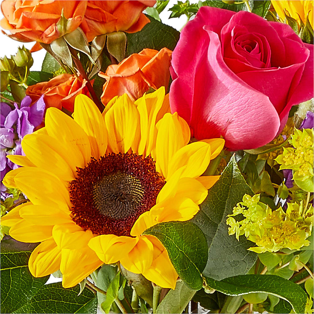 Vibrant Greetings Bouquet –  Bella Rose, Rialto CA