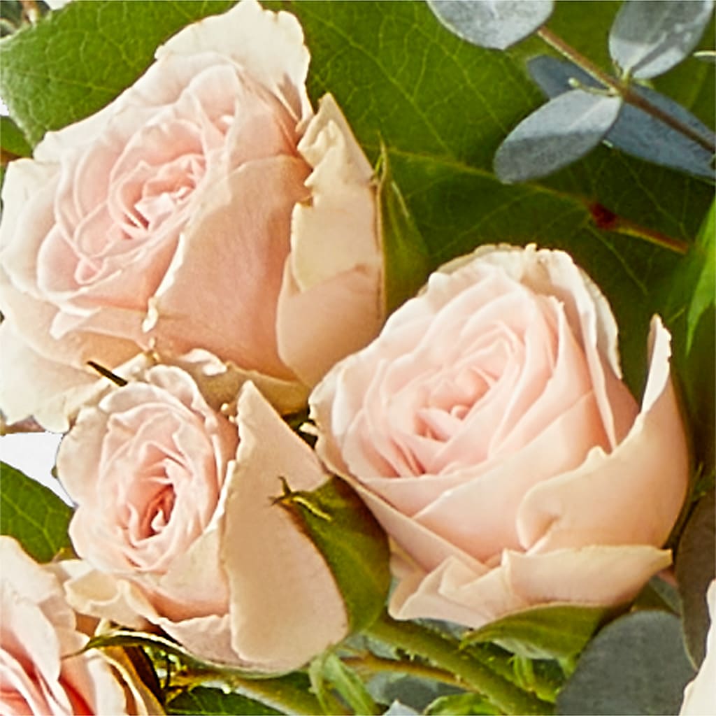 Inspired Bouquet –  Bella Rose, Rialto CA