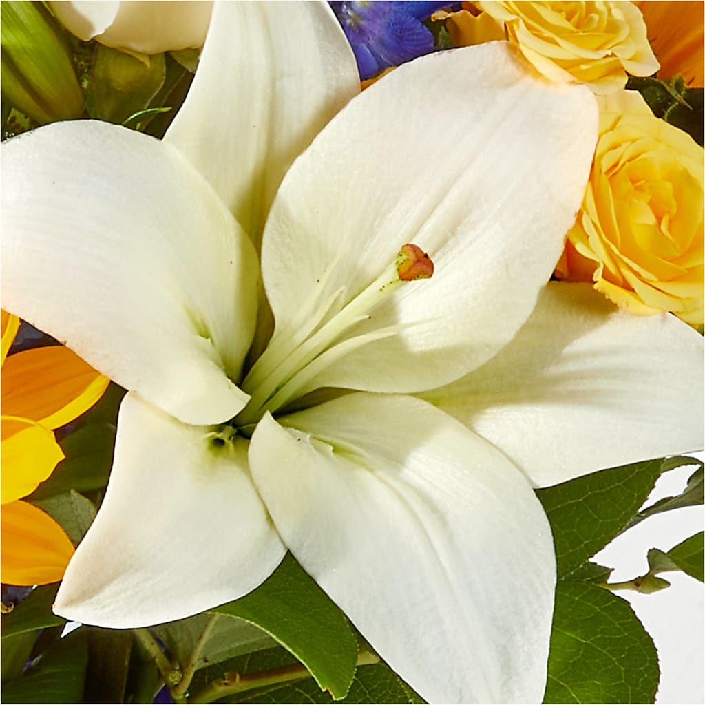 Wonderfully Sunny Bouquet –  Bella Rose, Rialto CA