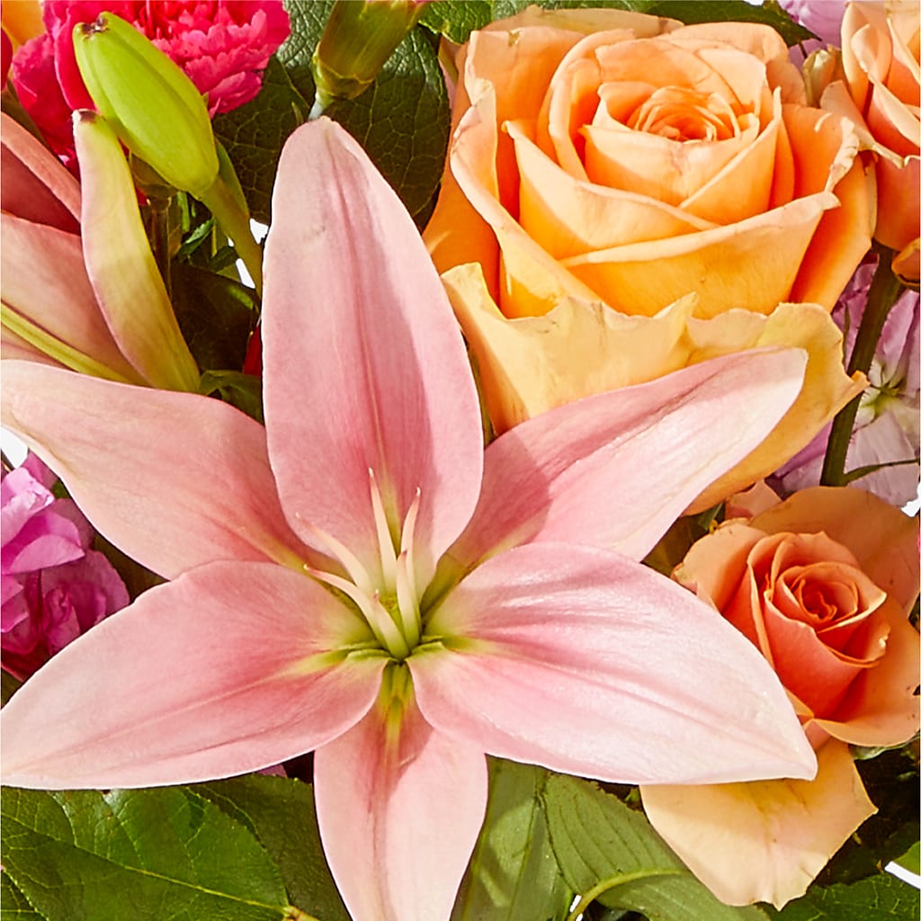 Bisous Bouquet –  Bella Rose, Rialto CA