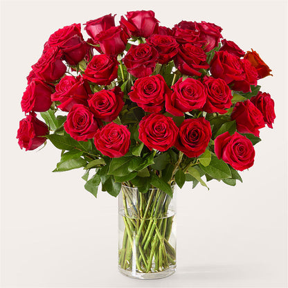 The One Red Rose Bouquet –  Bella Rose, Rialto CA