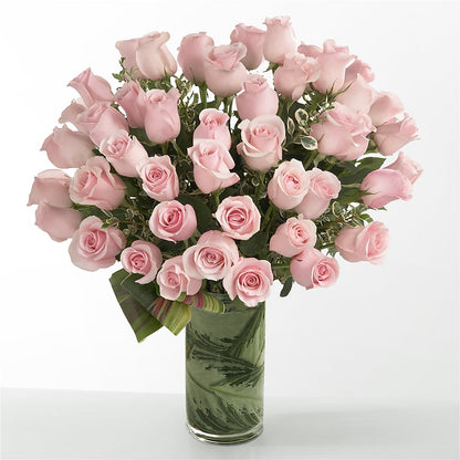 Pink Essence –  Bella Rose, Rialto CA