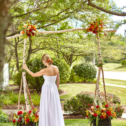 Arbor of Love Archway –  Bella Rose, Rialto CA