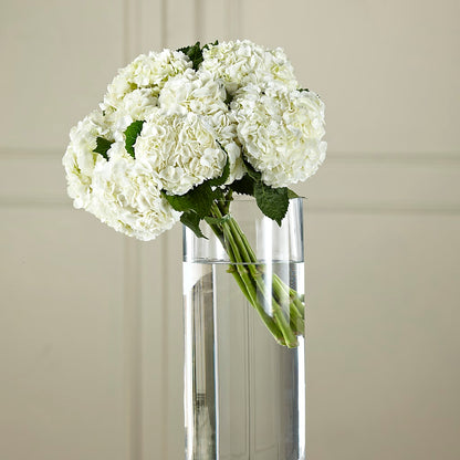 White Hydrangea Hand-Tied Bouquet –  Bella Rose, Rialto CA