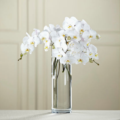 White Phalaenopsis Bouquet –  Bella Rose, Rialto CA