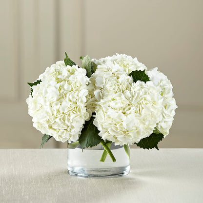 White Hydrangea Bouquet –  Bella Rose, Rialto CA
